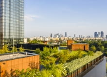 Zielony Taras Forest Zielony Taras Forest