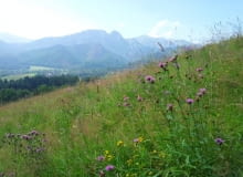 Panorama Tatr. Panorama Tatr.