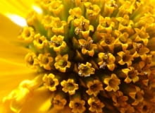 10140597 https bi