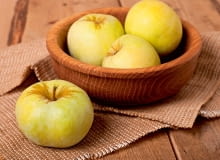 'Antonówka' (IX/X) jest starą odmianą o żółtawej skórce. Jej kwaśny, twardy miąższ nie rozpada się przy pieczeniu. Świetna na przetwory i do suszenia. 'Antonówka' (IX/X) jest starą odmianą o żółtawej skórce. Jej kwaśny, twardy miąższ nie rozpada się przy pieczeniu. Świetna na przetwory i do suszenia.