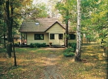 kanadyjczyk po 20 latach kanadyjczyk po 20 latach