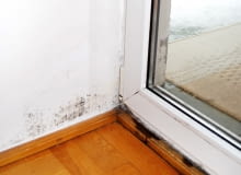 Grzyb często pojawia się gdy ściana jest przemarznięta i źle ocieplona pleśń na ścianie, grzyb na ścianie, zapleśniałe ściany