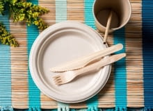 Talerz z trzciny cukrowej Natural Talerz z trzciny cukrowej Natural