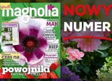 Magazyn Magnolia Magazyn Magnolia