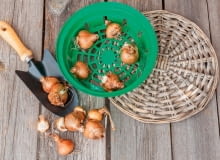 H>S3G]?-1i\%.x@!1ldI