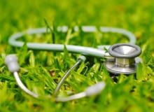 Pielęgnacja trawnika po zimie