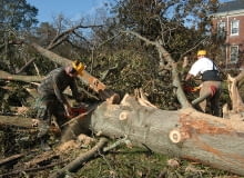 Do pracy z pilarką możemy przystąpić wyłącznie w ubraniu ochronnym Praca z pilarką