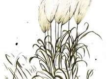 Trawy z wysokimi puszystymi kwiatostanami warto pozostawić na rabatach, nawet jeśli już uschły. W zimowe ranki, pokryte malowniczo szronem, będą ozdobą ogrodu Trawy z wysokimi puszystymi kwiatostanami warto pozostawić na rabatach, nawet jeśli już uschły. W zimowe ranki, pokryte malowniczo szronem, będą ozdobą ogrodu