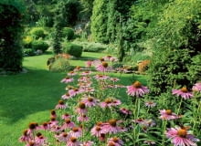 Ogród na rozstajach Ogród na rozstajach