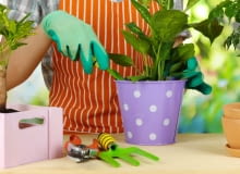 Nie zaniedbujmy pielęgnacji roślin. Nie zaniedbujmy pielęgnacji roślin.