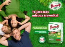 Jak pielęgnować przydomowy trawnik Jak pielęgnować przydomowy trawnik