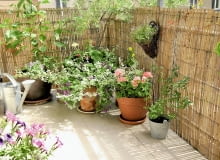 <B>Balkony coraz częściej stają się przedłużeniem wnętrza, dodatkową przestrzenią, w której - kiedy tylko aura na to pozwoli - chętnie wypoczywamy. Dlatego poświęcamy im coraz więcej uwagi. Oto trzy propozycje urządzenia niewielkich balkonów.</B> <BR >BALKON - WIEJSKA SIELANKA. Choć to niemal środek miasta, gospodyni nazywa swój balkon wiejskim ogródkiem. Kwiaty i kolory są tu mocno przemieszane, ale każda kompozycja została przemyślana. Różnorodność w doborze roślin i doniczek, romantyczne dodatki (koronkowy obrus robiony na szydełku, filiżanki) tworzą nieco staroświecki klimat. <BR >Na balkonie znalazły się też... drzewa liściaste, rzadko uprawiane w donicach: oliwnik wąskolistny (o późno opadających dekoracyjnych liściach, z obu stron pokrytych srebrzystymi włoskami) oraz olcha. Szybko się rozrastają - gdy będą już za duże na balkon, trzeba je przesadzić do gruntu. Mogą zimować na zewnątrz bez szczególnej ochrony pojemników przed mrozem.