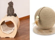 1. Natural Paradise Peony poziomy drapak dla kota, z legowiskiem; www.zooplus.pl 2. Beeztees Designed by Lotte Kula do drapania Balty; www.maxizoo.pl Jak zrobić drapak dla kota?