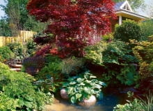 nJEZIORKO WODA STAW ZBIORNIK WODNY OCZKO WODNE SCHODY KAMIEN DOM PLOT DREWNIANY OGRODZENIE DREWNIANEKLON ZWYCZAJNY ACER PLATANOIDES ODMIANA ROYAL RED LISC CZERWONY DRZEWO LISCIASTE FUNKIA SIEBOLDA HOSTA SIEBOLDIANA BYLINA FUNKIA ODMIANA FRANCEE KLON PALMOWY ACER PALMATUM ODMIANA DISSECTUMFOT. AGNIESZKA STACHURSKASLAJD MALYPUBLIKACJA OGRODY NR 2 (70) - 2.2005