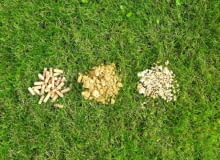 Grzybnia boczniaka Marek Siwulski