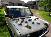 Przednia maska fiata ozdobiona goździkami Przednia maska fiata ozdobiona goździkami