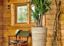 Stijl: 'Color tone - warm'