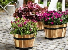 Pojemniki z wrażliwymi gatunkami zabieramy do powieszczeń. SLOWA KLUCZOWE: efterAYr autumn hAst herbst inspiration anregungen fd55 aster novi-belgii heuchera rosa pink