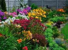 Oryginale kwiaty na bukiety Oryginale kwiaty na bukiety