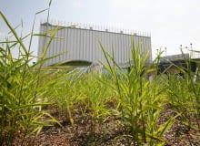 Gmach Opery i Filharmonii Podlaskiej powstawał przez ostatnie 6 lat. Jego projektantem jest Marek Budzyński, znany min. ze spektakularnego budynków BUW w Warszawie. Zgodnie z założeniem projektanta, całość tonie w zieleni. Dzisiaj obiekt jest już prawie gotowy, a jego uroczyste otwarcie przewidziano na koniec września 14.07.2011 BIALYSTOK , OPERA I FILHARMONIA PODLASKA PODCZAS WYKANCZANIA BUDOWY , FINANSOWANA M.INN . ZE SRODKOW UNIJNYCH I ZA PIENIADZE URZEDU MARSZALKOWSKIEGO . FOT . AGNIESZKA SADOWSKA / AGENCJA GAZETA A SLOWA KLUCZOWE: BUDOWA INWESTYCJA SRODKI UNIJNE PIENIADZE Z UNII EUROPEJSKIEJ PROJEKTA ARCHITEKTA MARKA BUDZYNSKIEGO PROJEKTANT MAREK BUDZYNSKI ARCHITEKT PROJEKT ARCHITEKTONICZNY ZDJĘCIE DO WKŁADKI: A