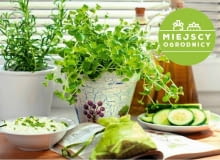 Ziołowy ogródek od zaraz. Miejscy ogrodnicy