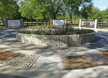 Ogród z elementami sensorycznymi w Gdańsku-Oliwie