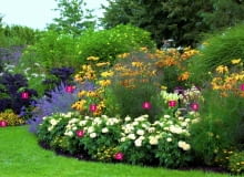 Projekt rabaty na stanowisko słoneczne. Summer border