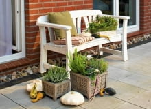 Kompozycje tarasowe w koszach- białe wrzosy i cyklamen oraz zielony bluszcz i wrzosiec drzewiasty 'Albert's Gold' o jasnozielonych igiełkowatych liściach. Jako dodatek - ozdobne dynie i patisony.