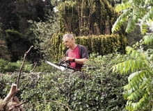 Usunięcie krzewów w wieku powyżej 10 lat także powinniśmy zgłosić do urzędu miasta lub gminy. Usunięcie krzewów w wieku powyżej 10 lat także powinniśmy zgłosić do urzędu miasta lub gminy.