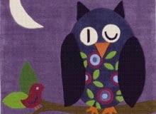 ...apelował Poeta. A my apelujemy - nie ograniczajmy się tylko do wróbelka, tylko kochajmy wszystkie ptaszki. I sowy, i pelikany, i kolibry, i czaple, i zimorodki. Wprawdzie nie śpiewają, ale to dobrze wyglądają i na poduszce, i jako łyżka do butów. Zawsze też możemy pofantazjować i zafundować sobie na ścianie całe stadko. Dywan JOY KIDS SOWA. Miękkie, kolorowe dywaniki dziecięce Joy to ozdoba pokojów naszych pociech. Zachęcają do zabawy, pobudzają wyobraźnię, a także stanowią dobrą izolację podczas dziecięcych harców. Łatwo usunąć z nich wszelkie zabrudzenia i kurz, dzięki czemu są szczególnie polecane dla małych alergików. Rozmiar: 130x130 cm, 499 zł., Komfort