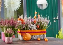 Dekoracje z wrzosów Dekoracje z wrzosów