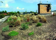 Woda deszczowa powinna jak najkrócej stykać się z powierzchnią każdego dachu płaskiego, ale odwodnienie jest szczególnie istotne w dachach odwróconych Woda deszczowa powinna jak najkrócej stykać się z powierzchnią każdego dachu płaskiego, ale odwodnienie jest szczególnie istotne w dachach odwróconych