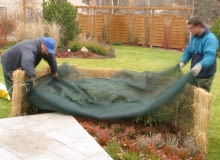 Okrywanie roślin na zimę. Wrzosy, wrzośce i młode sadzonki niskich roślin warto przykryć gałązkami iglaków. Rododendrony rosnące w słońcu cieniujemy i okrywamy agrowłókniną lub włókniną siatkową 12.11.2003 ZALESINEK OGROD JESIEN OGRODOWE PRACE JESIENNE PRZYKRYWANIE KRZEWY LISCIASTE MATA OCHRONNA ZABEZPIECZENIE ROSLIN OKRYWANIE PRZED ZIMA DO PISMA KWIETNIK ARANZACJA PANI DANUTA MLOZNIAK FOT. PAWEL SLOMCZYNSKI / AGENCJA GAZETA PUBLIKACJA KWIETNIK NR 11 (131) - 11.2005