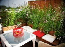 n 17.08.2012 WARSZAWA SESJA OGRODY NA DACHU TARAS NA ZDJECIU STYLIZACJA ZUZANNA WICIEJOWSKA DLA CZASOPISMA MAGNOLIA FOT. TATA STUDIO / TEL 0501255063 SLOWA KLUCZOWE: TARAS