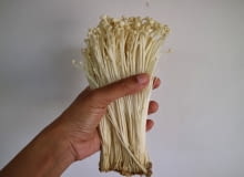 Grzybki Enoki (Flammulina filiformis)