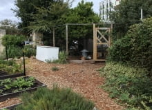 Wybieramy najlepszy kompostownik do ogrodu Wybieramy najlepszy kompostownik do ogrodu