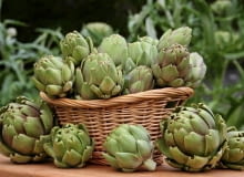 Kwiatostan karczocha to wytworne, niskokaloryczne warzywo i naturalny afrodyzjak Kwiatostan karczocha to wytworne, niskokaloryczne warzywo i naturalny afrodyzjak