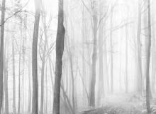 Wystawa 'Vita Contemplativa' - Architektur Galerie Berlin Wystawa 'Vita Contemplativa' - Architektur Galerie Berlin