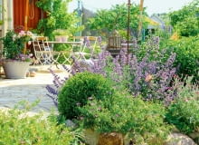 Piękne i niezawodne byliny: bodziszki (Geranium), kocimiętki (Nepeta) i firletki (Lychnis) kolorowym kręgiem otaczają słoneczny taras. Piękne i niezawodne byliny: bodziszki (Geranium), kocimiętki (Nepeta) i firletki (Lychnis) kolorowym kręgiem otaczają słoneczny taras.