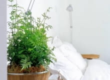 ONE TIME USE ONLY DO JEDNOKROTNEJ PUBLIKACJI