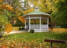 Palmiarnia Ogrodu Botanicznego w Łodzi 02.09.2008 LODZ UL PRZEDZELNIANA FABRYCZNA I TARGOWA PARK ZRODLISKA NAJSTARSZY PARK MIEJSKI W POLSCE '