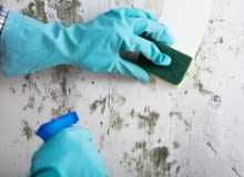Jak usunąć pleśń ze ściany?
