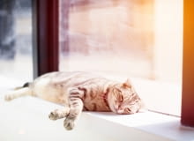 Okna na zimę Okna na zimę