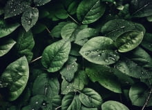 Światowy Dzień Wody Światowy Dzień Wody