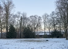 Ogród zimą Ogród zimą