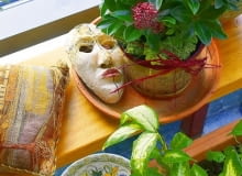 Na wiosnę w oranżerii zakwita skimia. Obok - maska wenecka - pamiątka z podróży do Włoch.