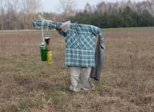 Strach na wróble - aranżacja jednej z naszych czytelniczek Strach na wróble - aranżacja jednej z naszych czytelniczek