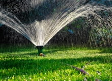 Ogrodowy trawnik najlepiej podlewać zraszaczami wynurzalnymi - nie będą przeszkadzać w koszeniu tawy.