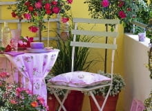 ROMANTYCZNY NASTRÓJ na tym balkonie podkreślają dwie dorodne róże szczepione na pniu, podsadzone białą smagliczką nadmorską (Lobularia maritima). Vorher - Nachher - Balkon : Rosa ( Rosen ), St mmchen und Busch, unterpflanzt mit Allyssum ( Duftsteinrich ) und Gypsophila ( Schleierkraut ), Spartina ( Schlickgras ), Klappstuhl, gedeckter Tisch 61016133 Vorher - Balkon SLOWA KLUCZOWE: gesamt 000 hoch Stuhl Balkon gelb draussen Sommer rot Gras Sitzplatz Topf Dekoration