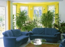 ORANZERIA STOL SOFA KANAPA OKNO PALMA JUKA YUCCA FOT. LILIANNA SOKOLOWSKA PUBLIKACJA KWIETNIK NR 5 (137) - 5.2006 SLOWA KLUCZOWE: ROSLINY WNETRZA MEBLE XNO ZDJĘCIE DO WKŁADKI: PUBLIKACJA KWIETNIK NR 5 (137) - CZASOPISMA
